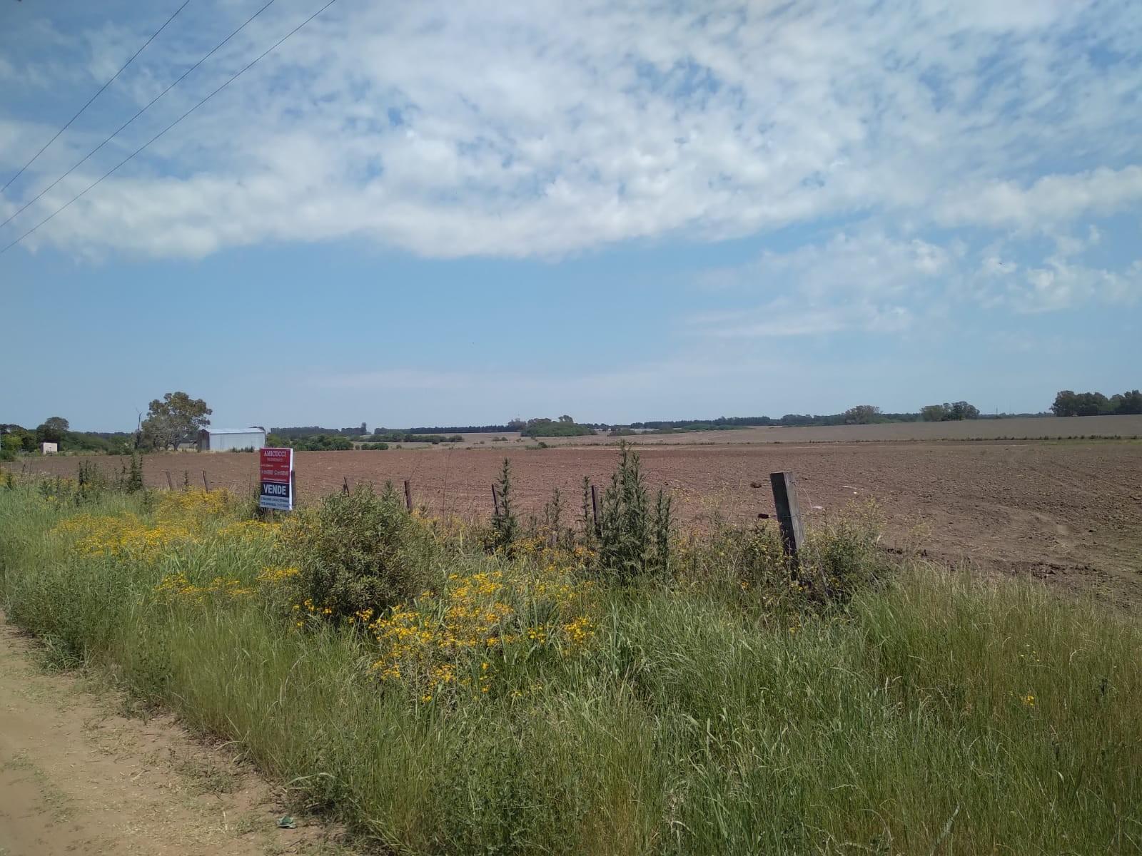 Camino Real · San Pedro — foto 15