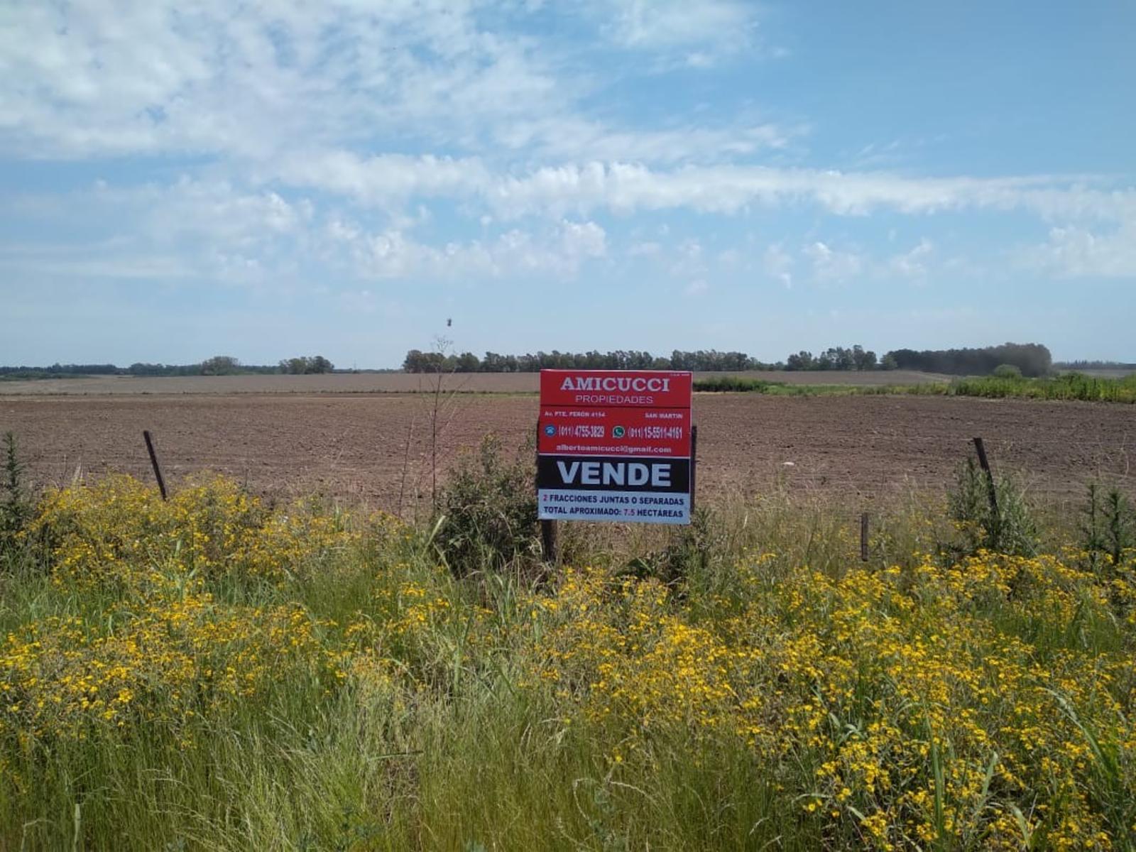 Camino Real · San Pedro — foto 16