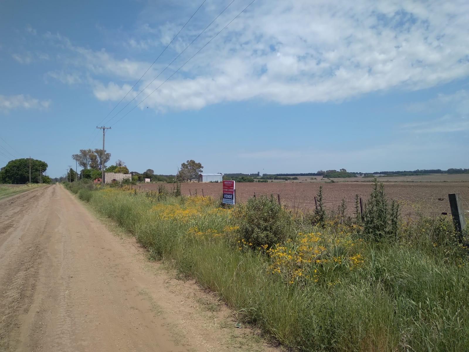 Camino Real · San Pedro — foto 17
