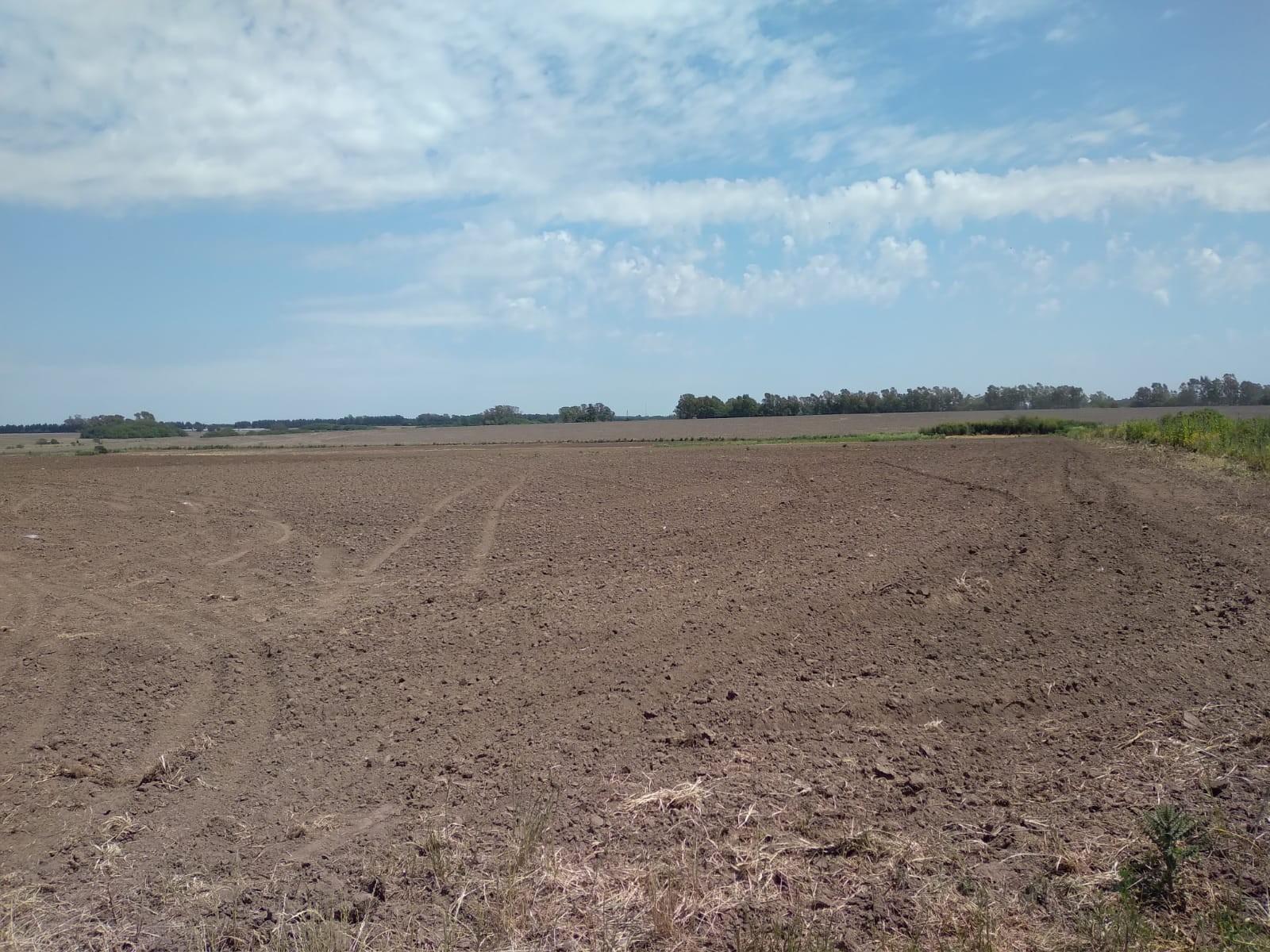 Camino Real · San Pedro — foto 18