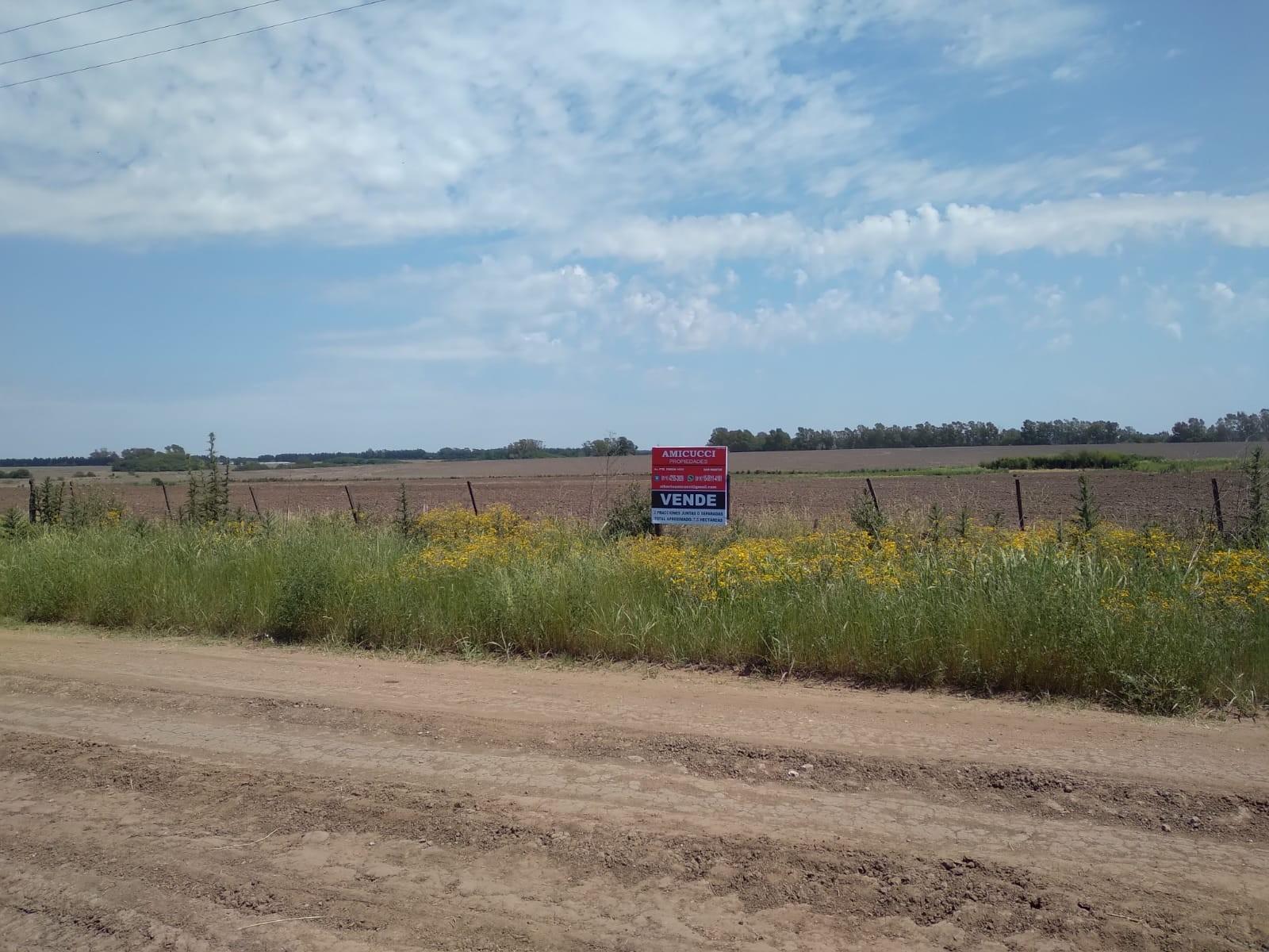 Camino Real · San Pedro — foto 19