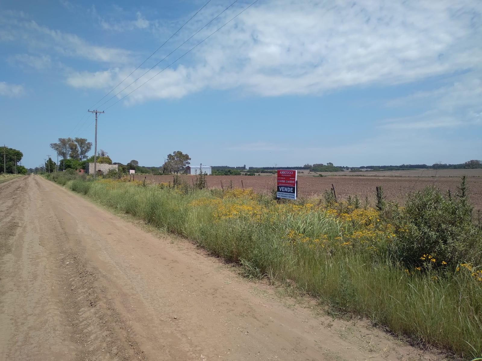 Camino Real · San Pedro — foto 20