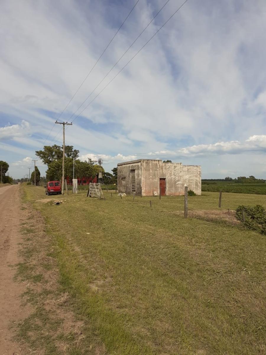 Camino Real · San Pedro — foto 3