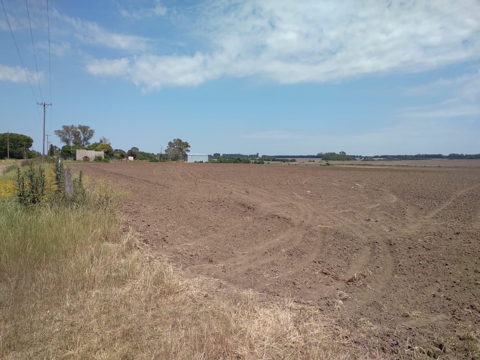Camino Real · San Pedro — foto 21