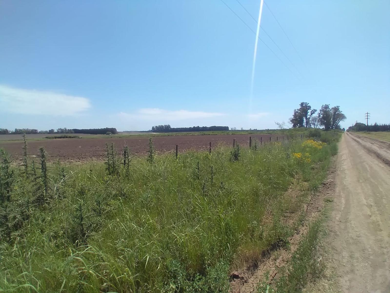 Camino Real · San Pedro — foto 23