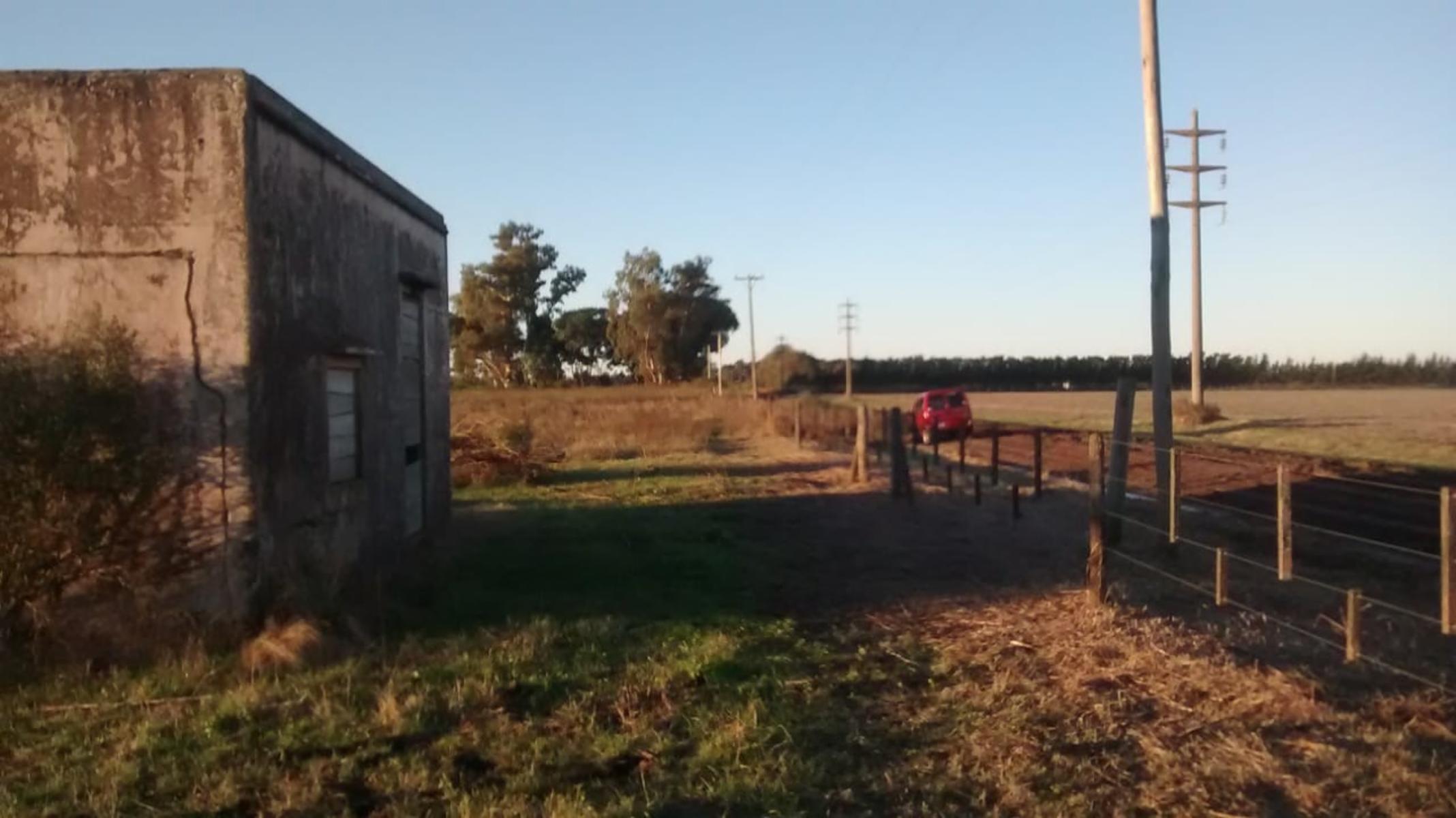 Camino Real · San Pedro — foto 6