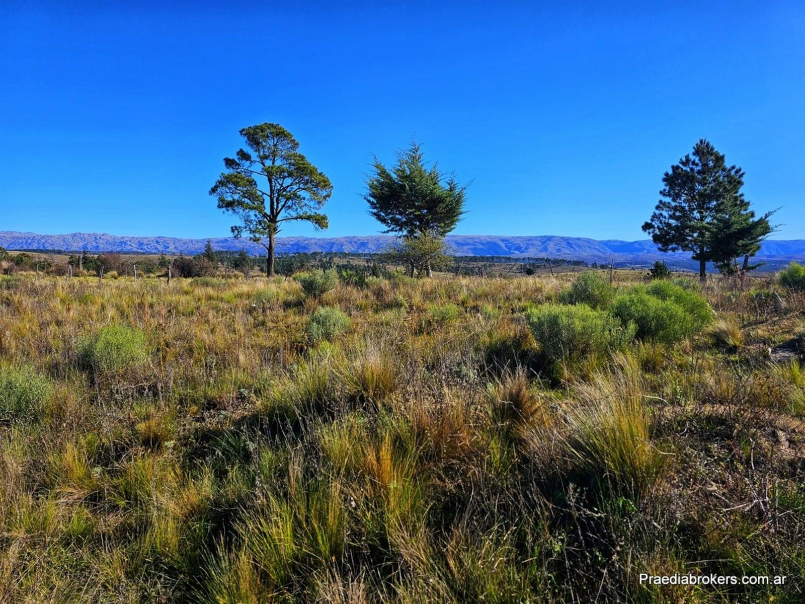 Loma Del Tigre, Villa Berna · Calamuchita — foto 11