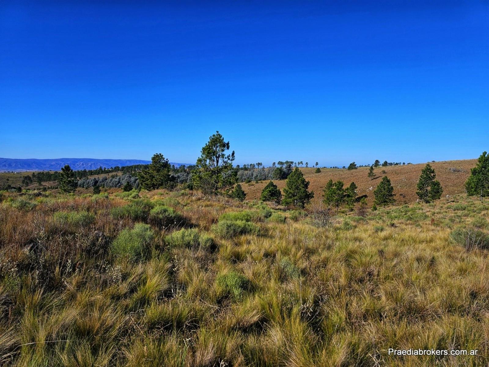 Loma Del Tigre, Villa Berna · Calamuchita — foto 12