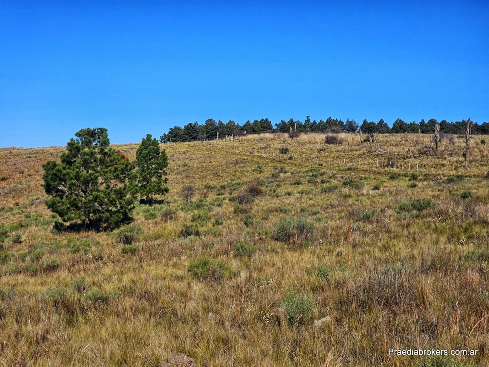 Loma Del Tigre, Villa Berna · Calamuchita — foto 13