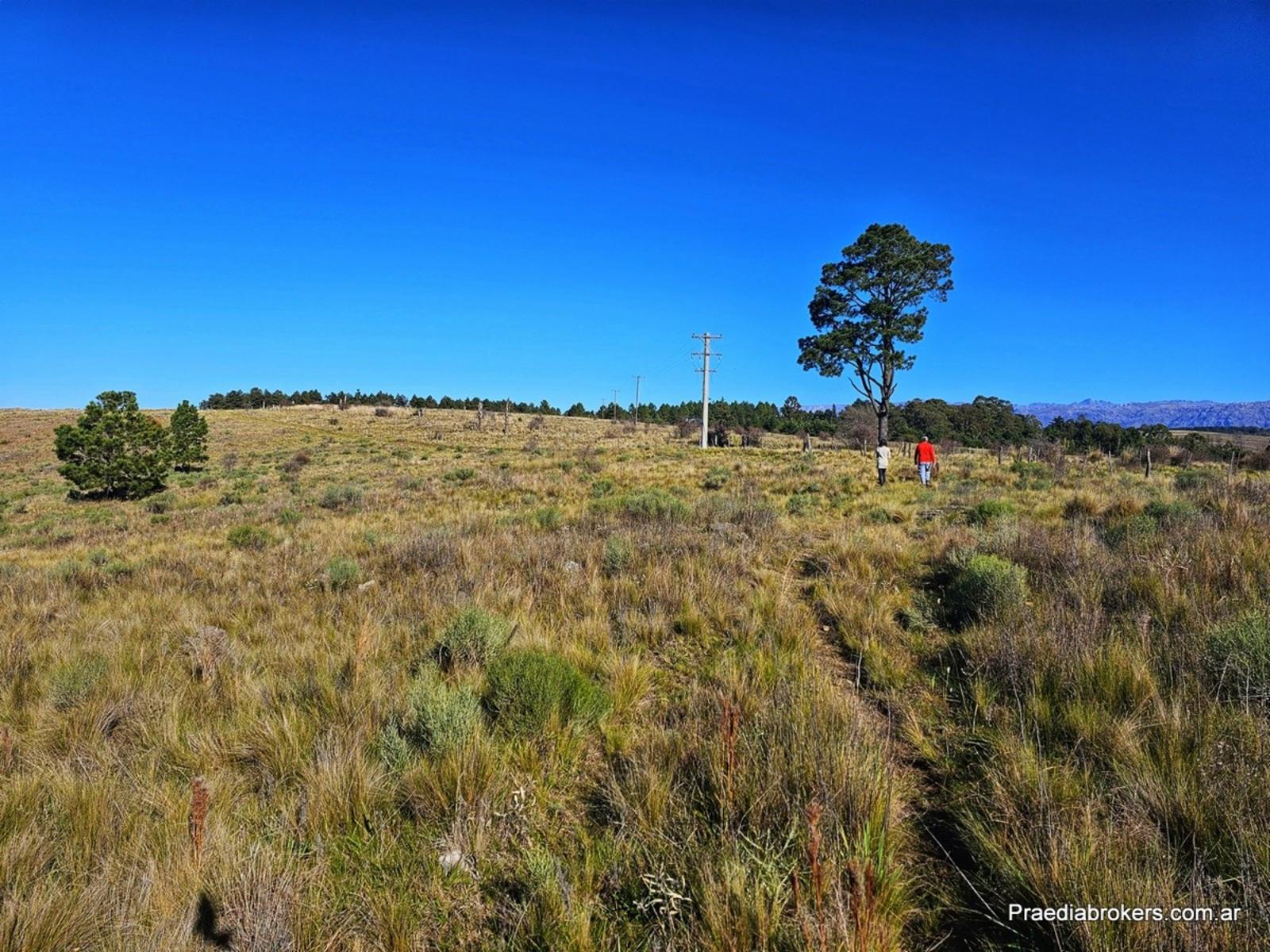 Loma Del Tigre, Villa Berna · Calamuchita — foto 14