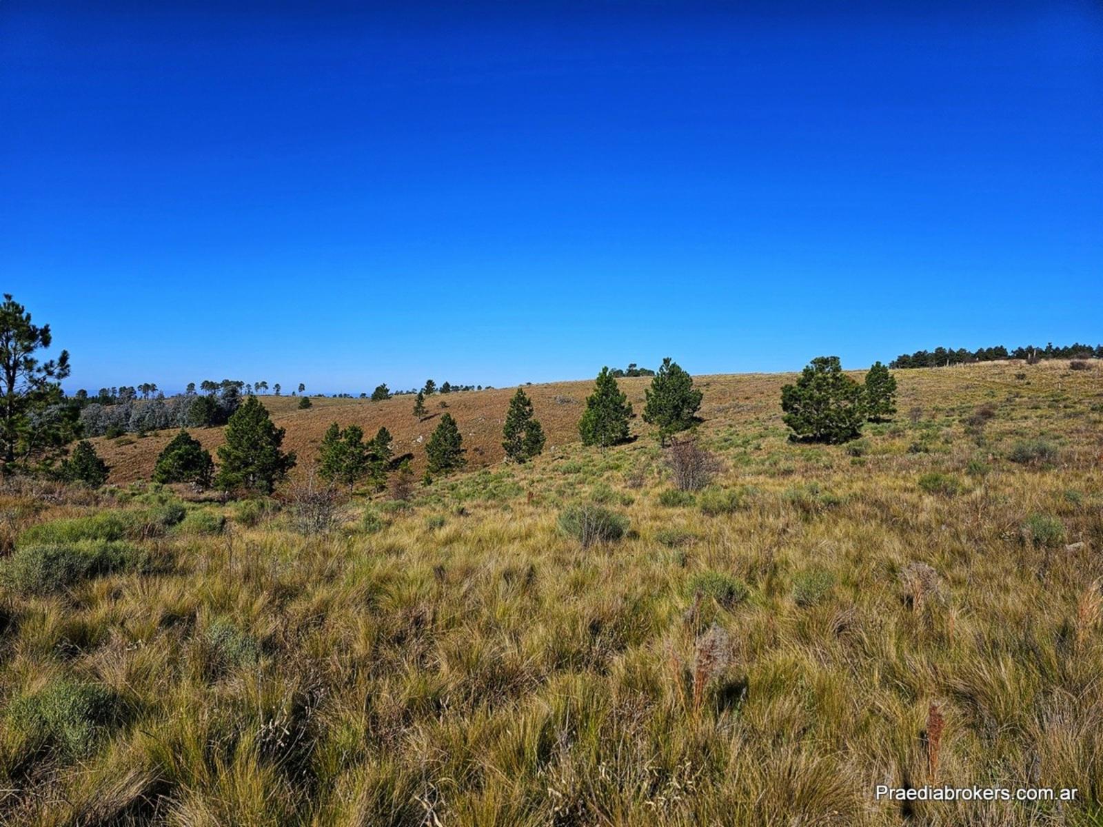 Loma Del Tigre, Villa Berna · Calamuchita — foto 15