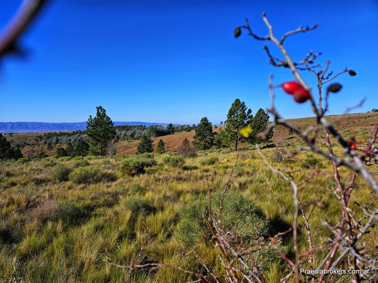 Loma Del Tigre, Villa Berna · Calamuchita — foto 17