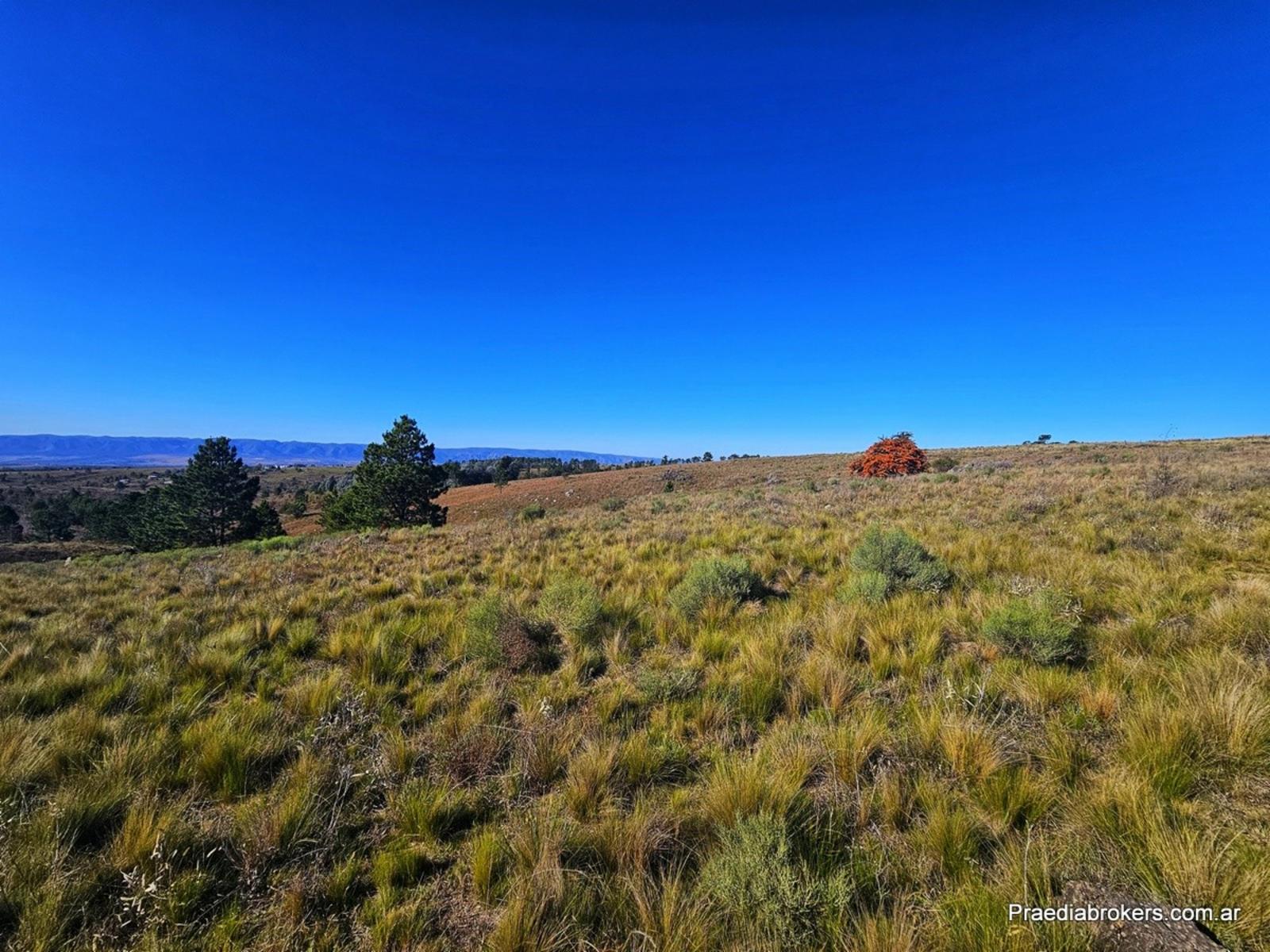 Loma Del Tigre, Villa Berna · Calamuchita — foto 23