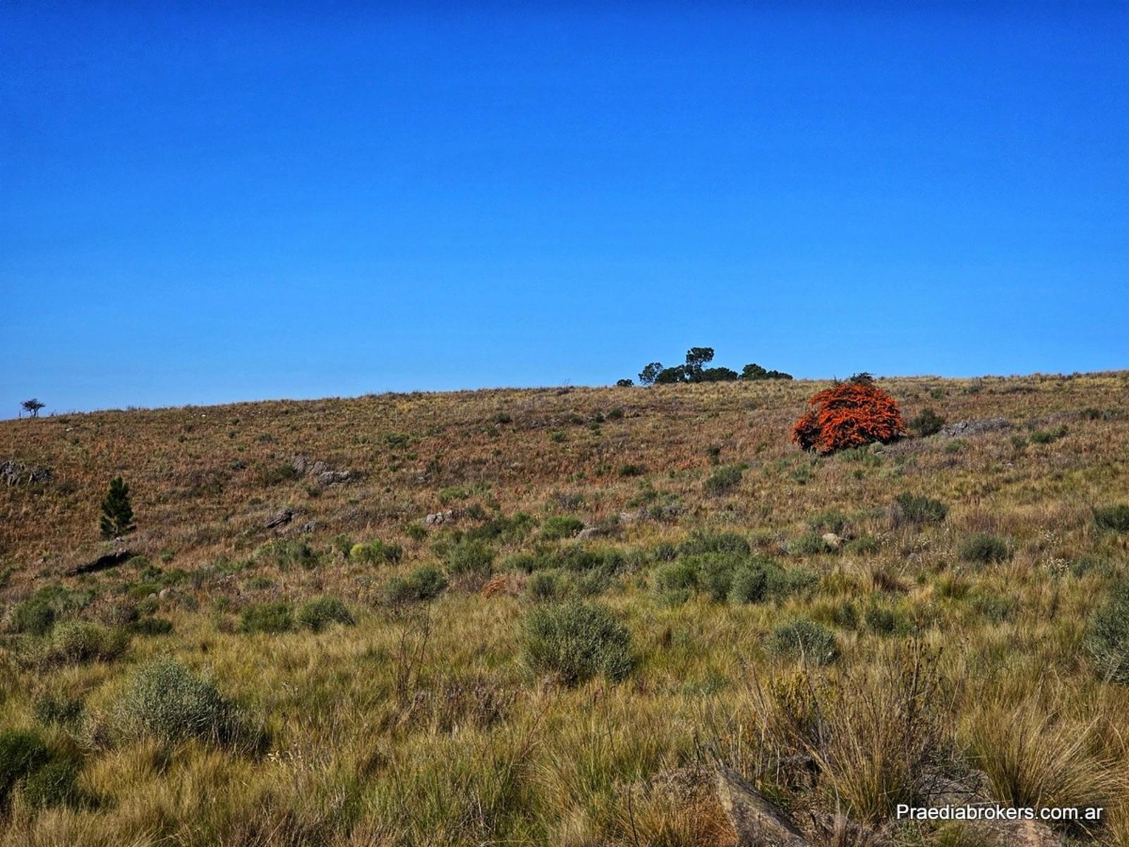 Loma Del Tigre, Villa Berna · Calamuchita — foto 26