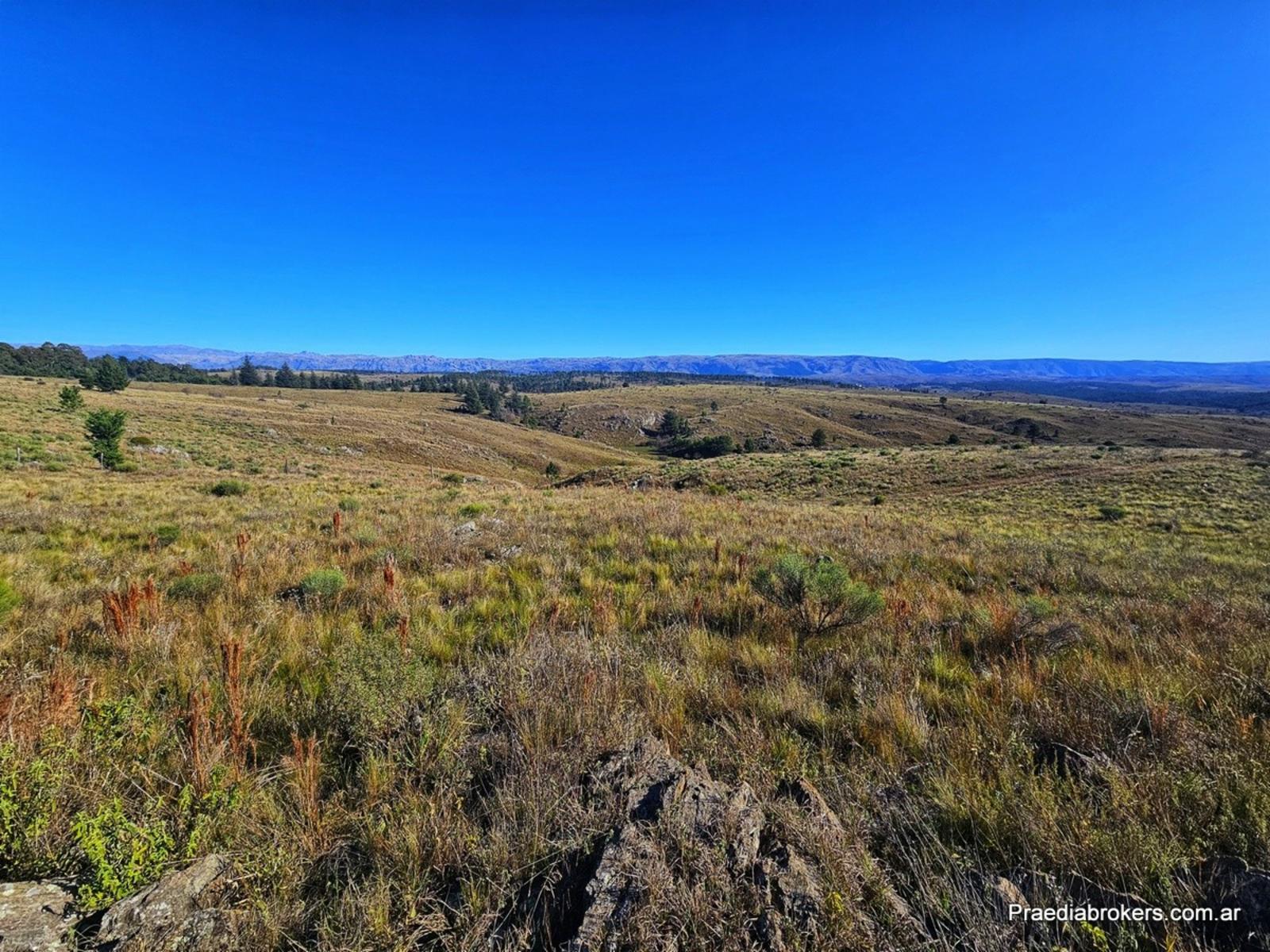 Loma Del Tigre, Villa Berna · Calamuchita — foto 4