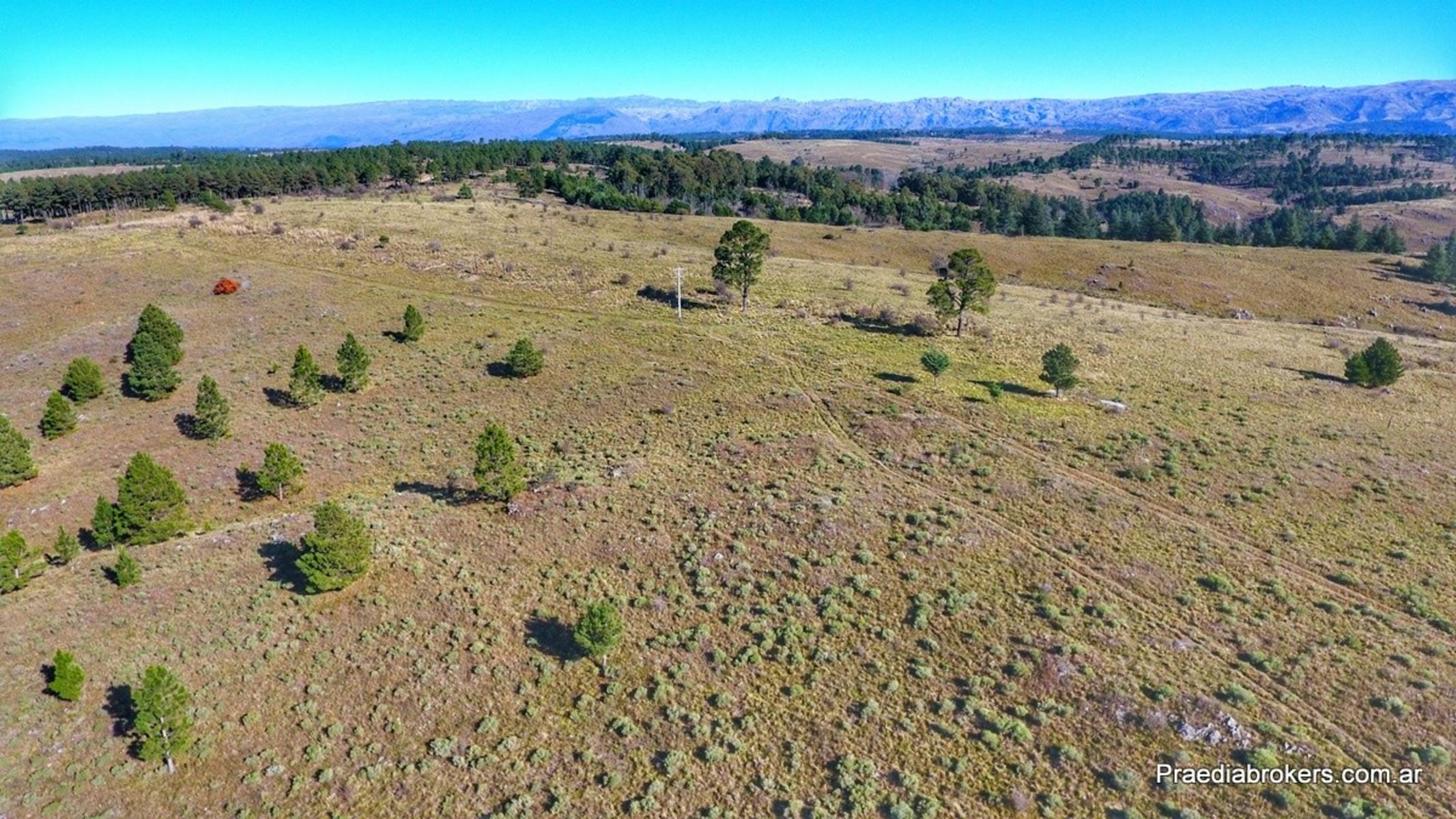 Loma Del Tigre, Villa Berna · Calamuchita — foto 32