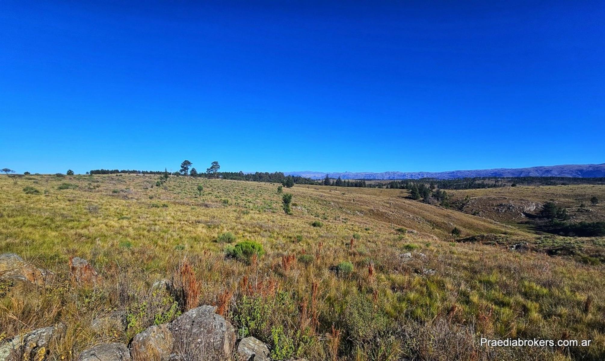 Loma Del Tigre, Villa Berna · Calamuchita — foto 5