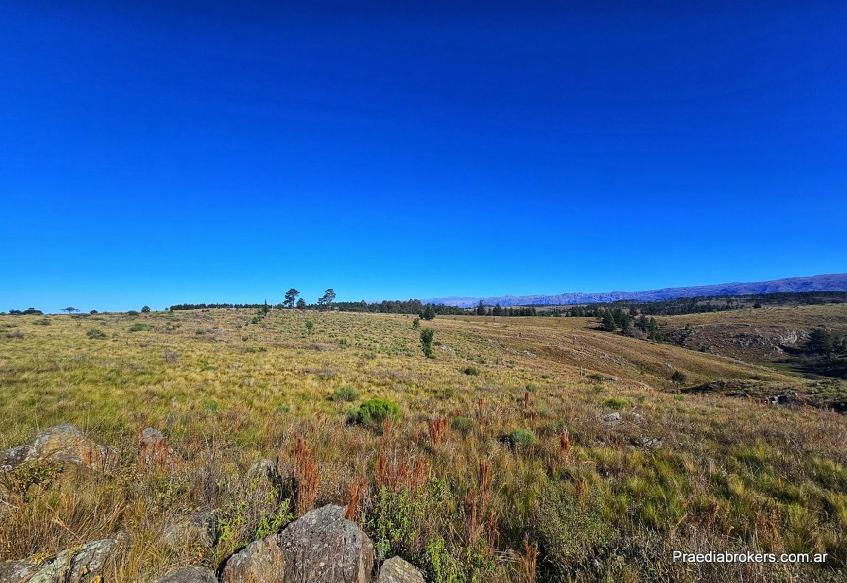 Loma Del Tigre, Villa Berna · Calamuchita — foto 8