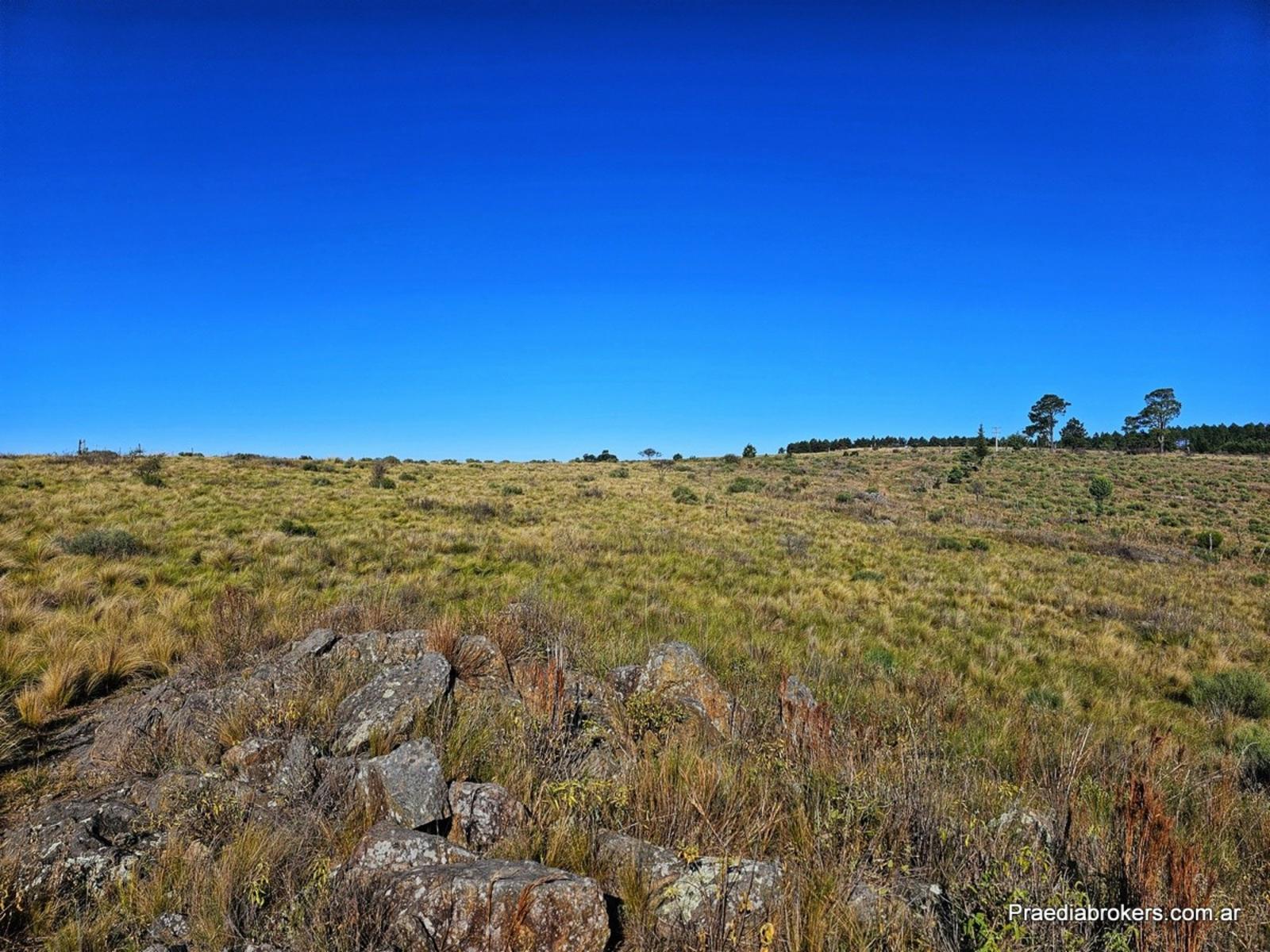 Loma Del Tigre, Villa Berna · Calamuchita — foto 9