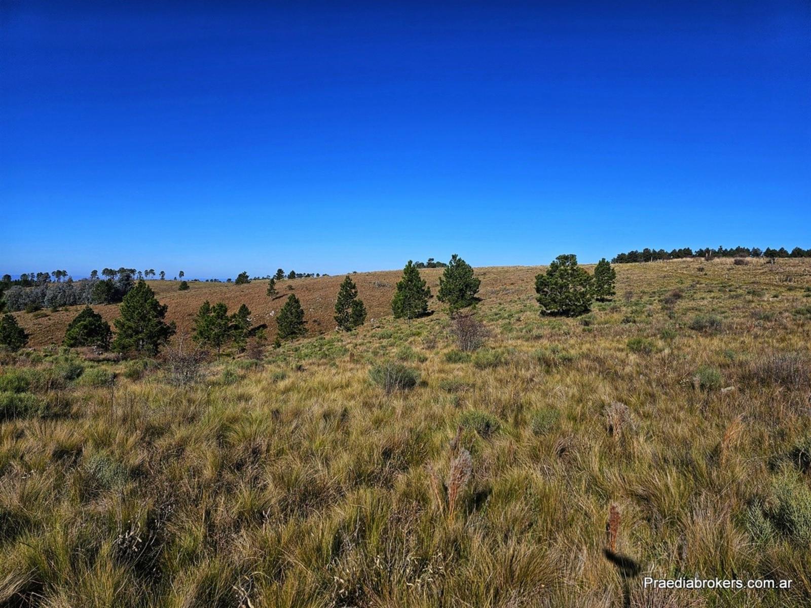 Loma Del Tigre, Villa Berna · Calamuchita — foto 10