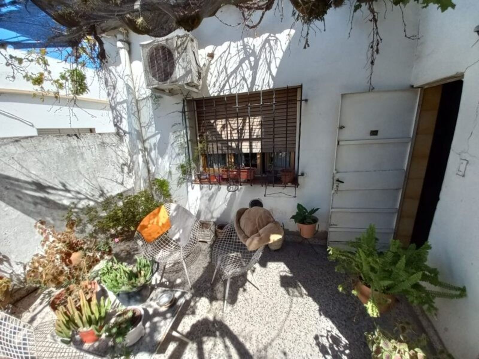 Ing White 2000 · Morón — foto 17