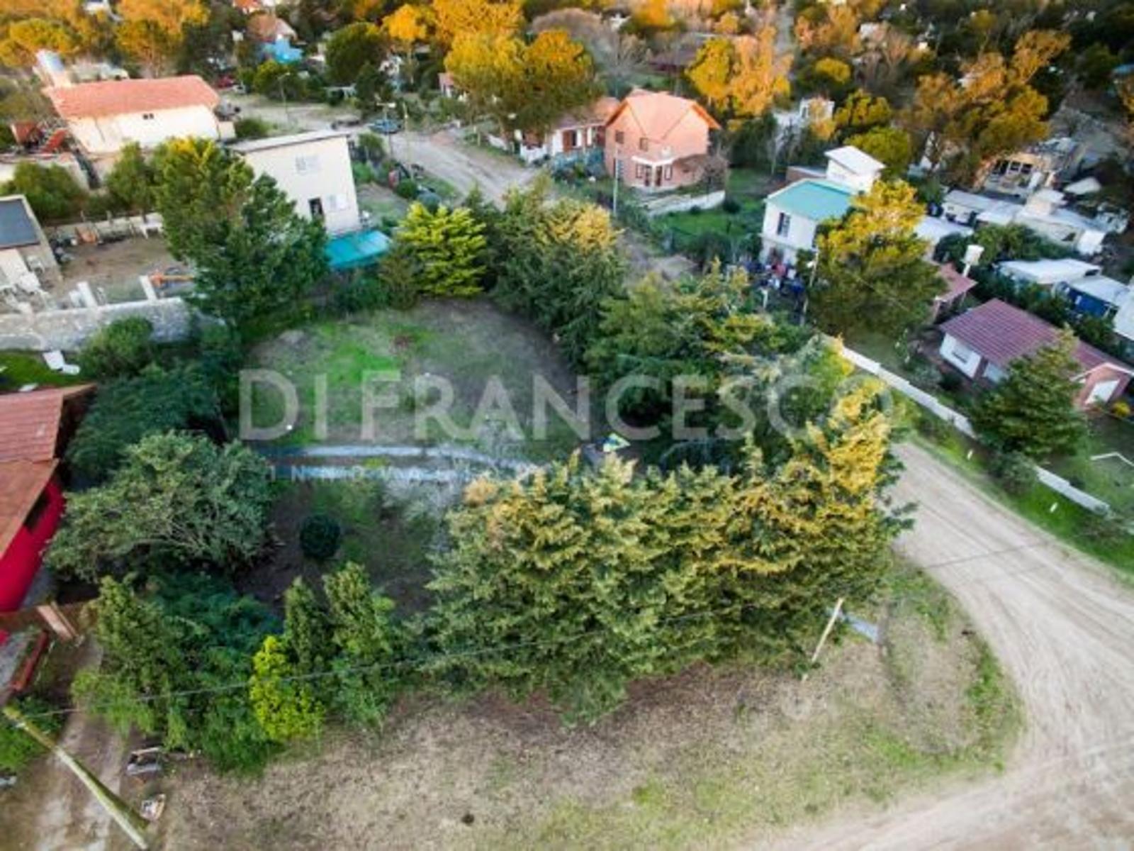 Pearson 800 · Pinamar — foto 4