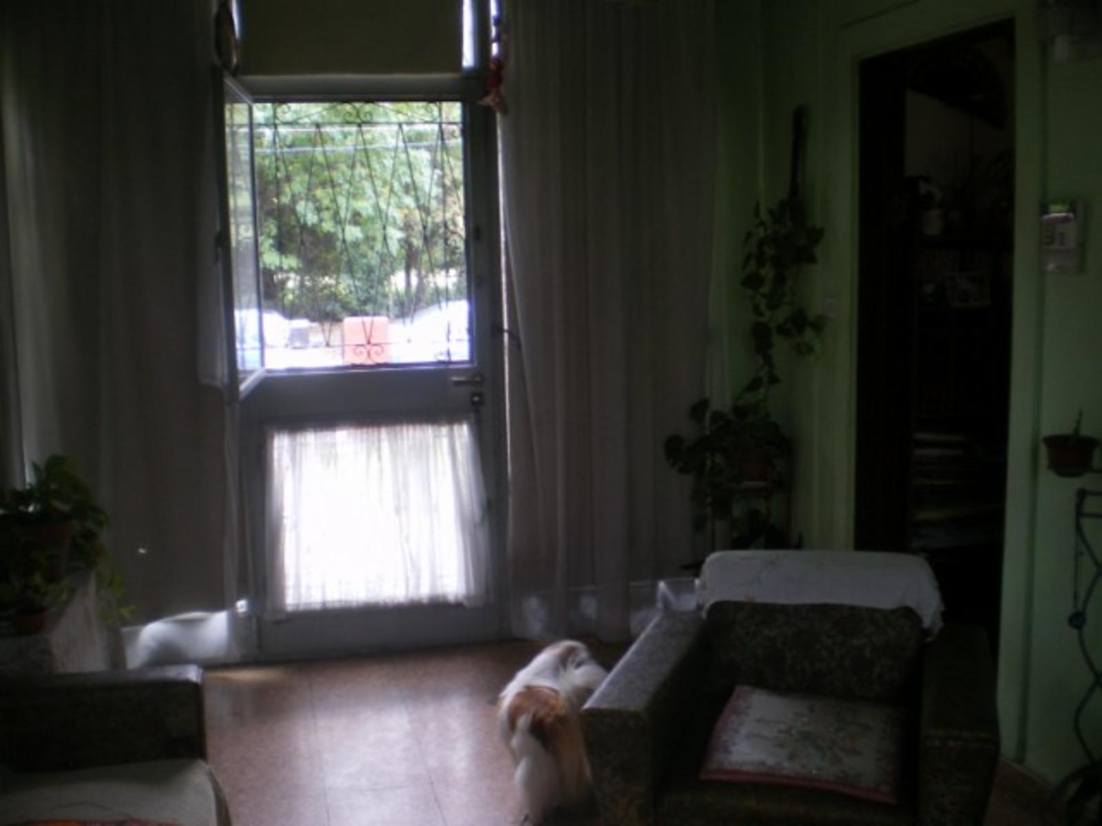 Gaspar Campos 3600 · San Miguel — foto 10