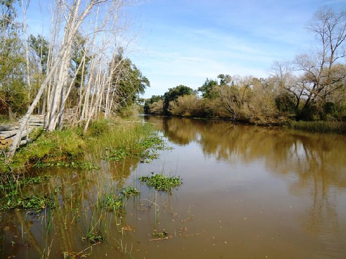 Isla en Venta en Islas, San Fernando, Buenos Aires
