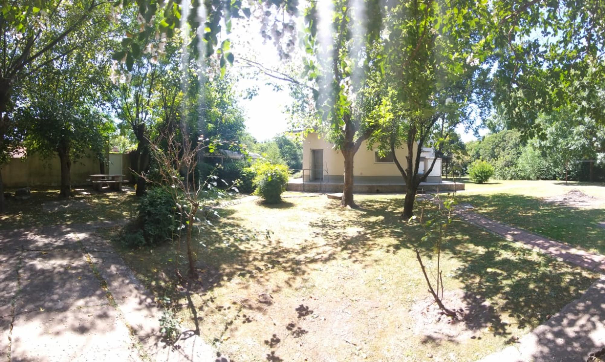 Paganelli 258 · Moreno — foto 12