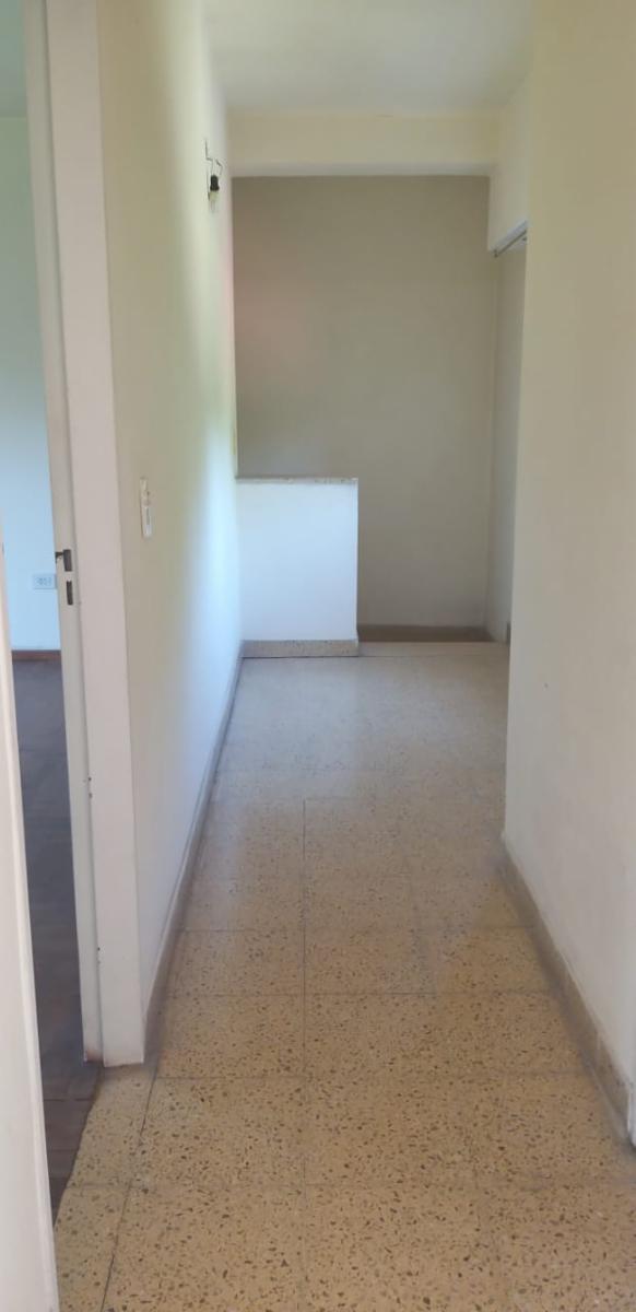 Paganelli 258 · Moreno — foto 15