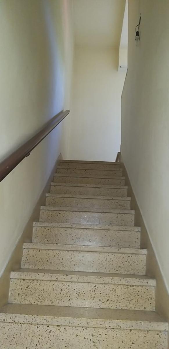 Paganelli 258 · Moreno — foto 32