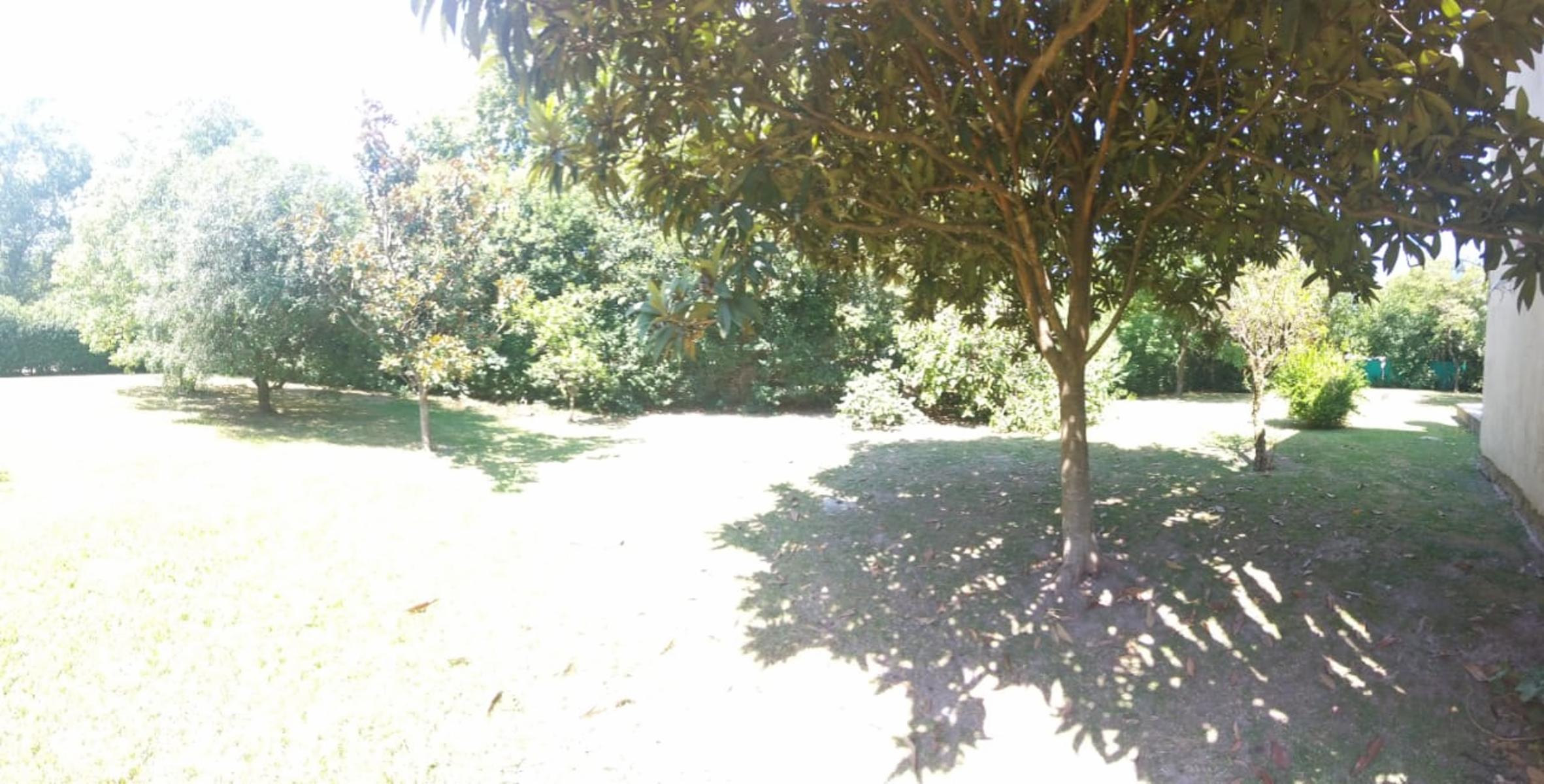 Paganelli 258 · Moreno — foto 35