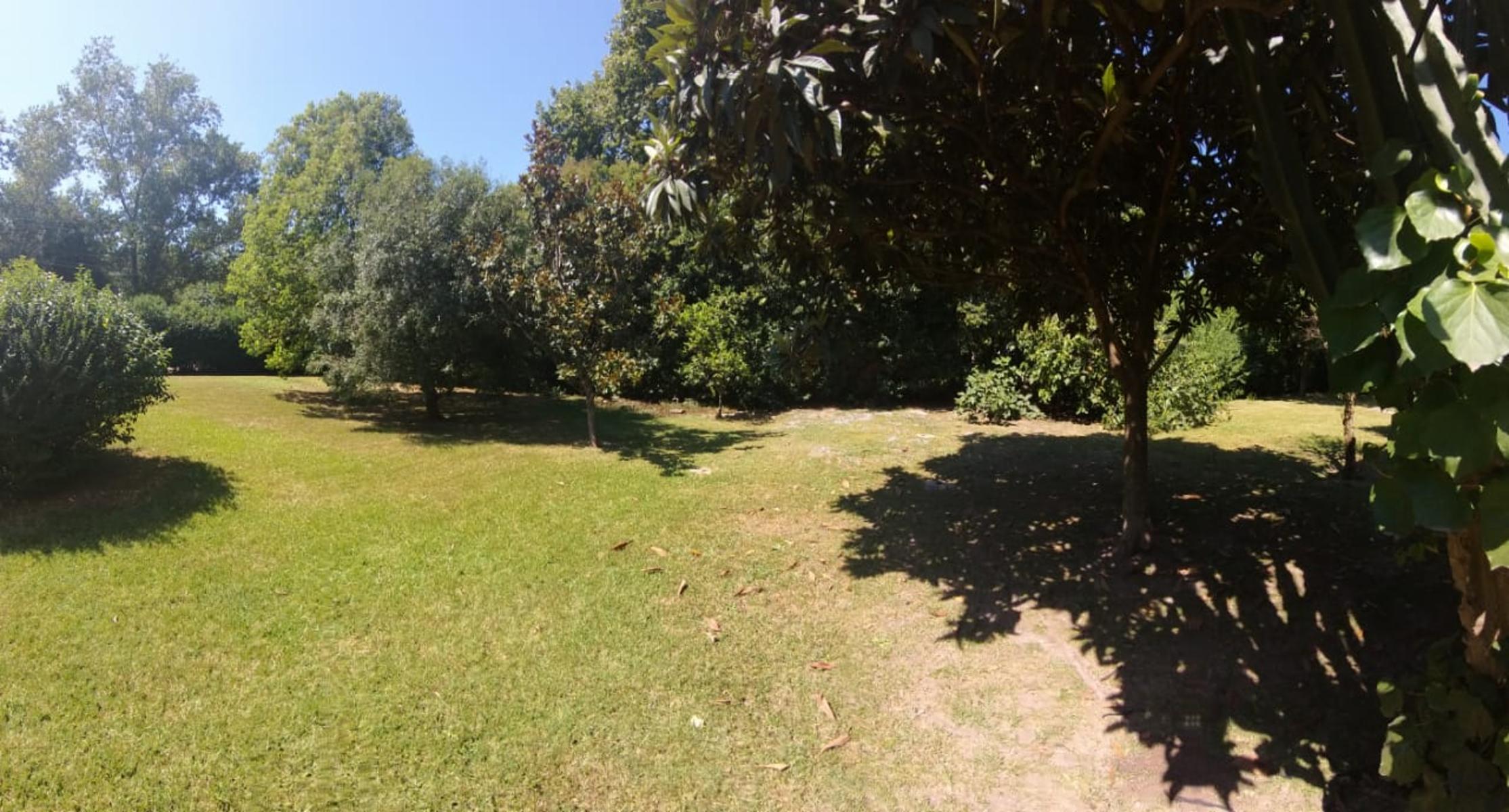 Paganelli 258 · Moreno — foto 36
