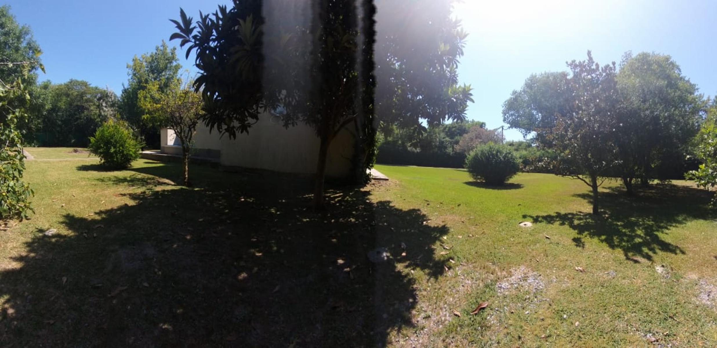 Paganelli 258 · Moreno — foto 8