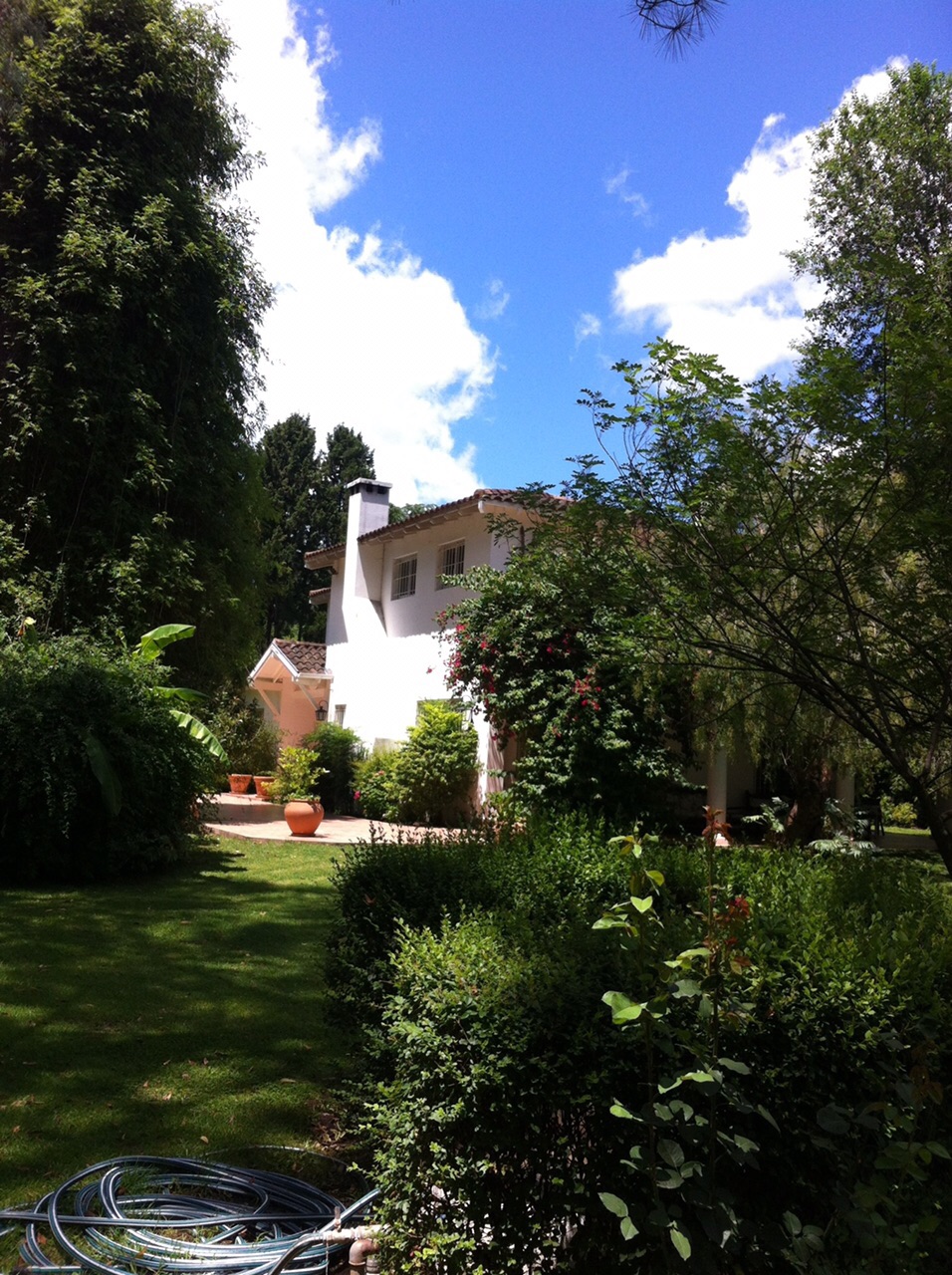 R · Pilar — foto 12