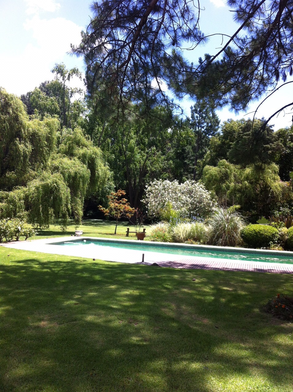 R · Pilar — foto 24