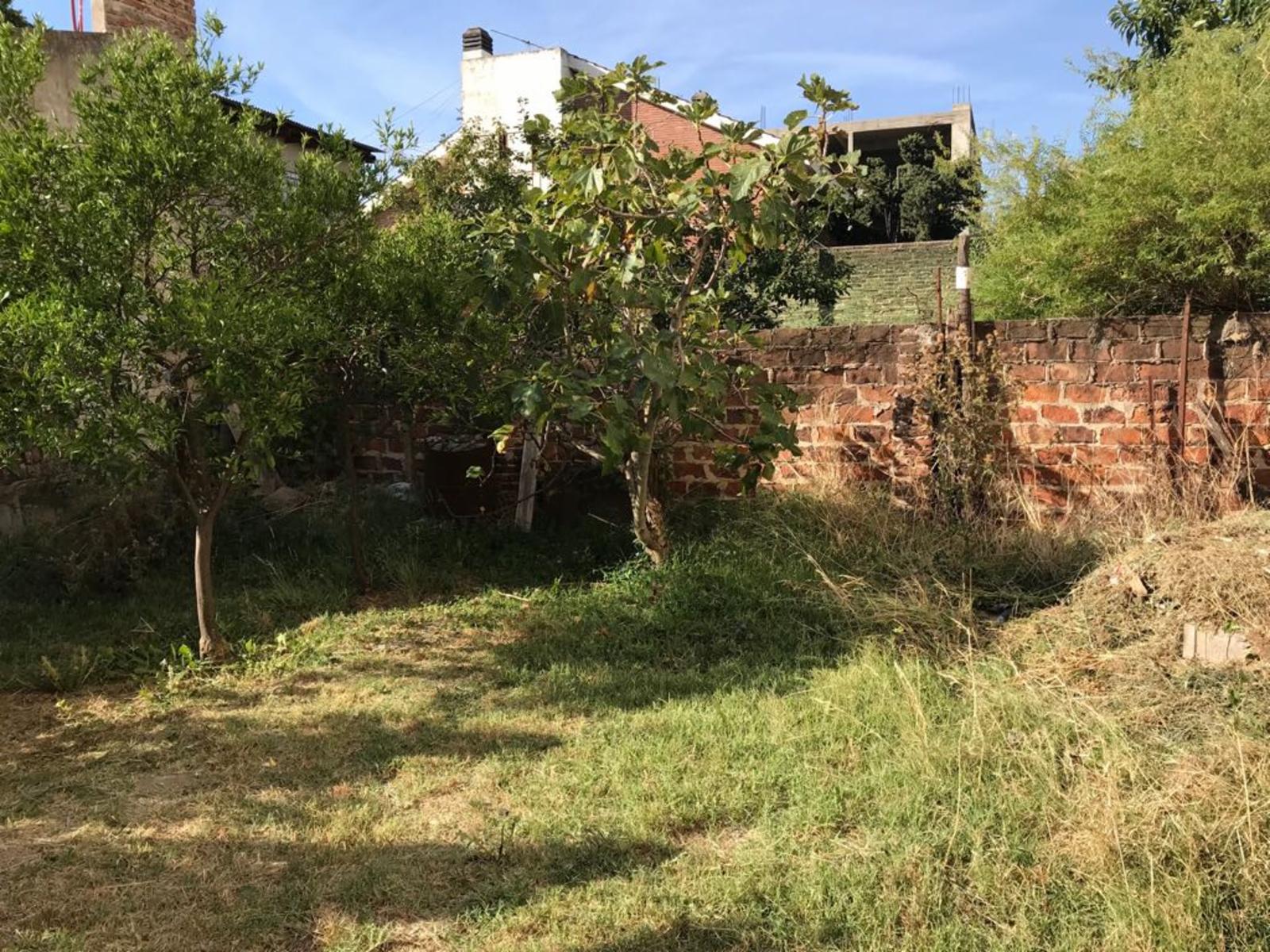MERLO 530 · Moreno — foto 26
