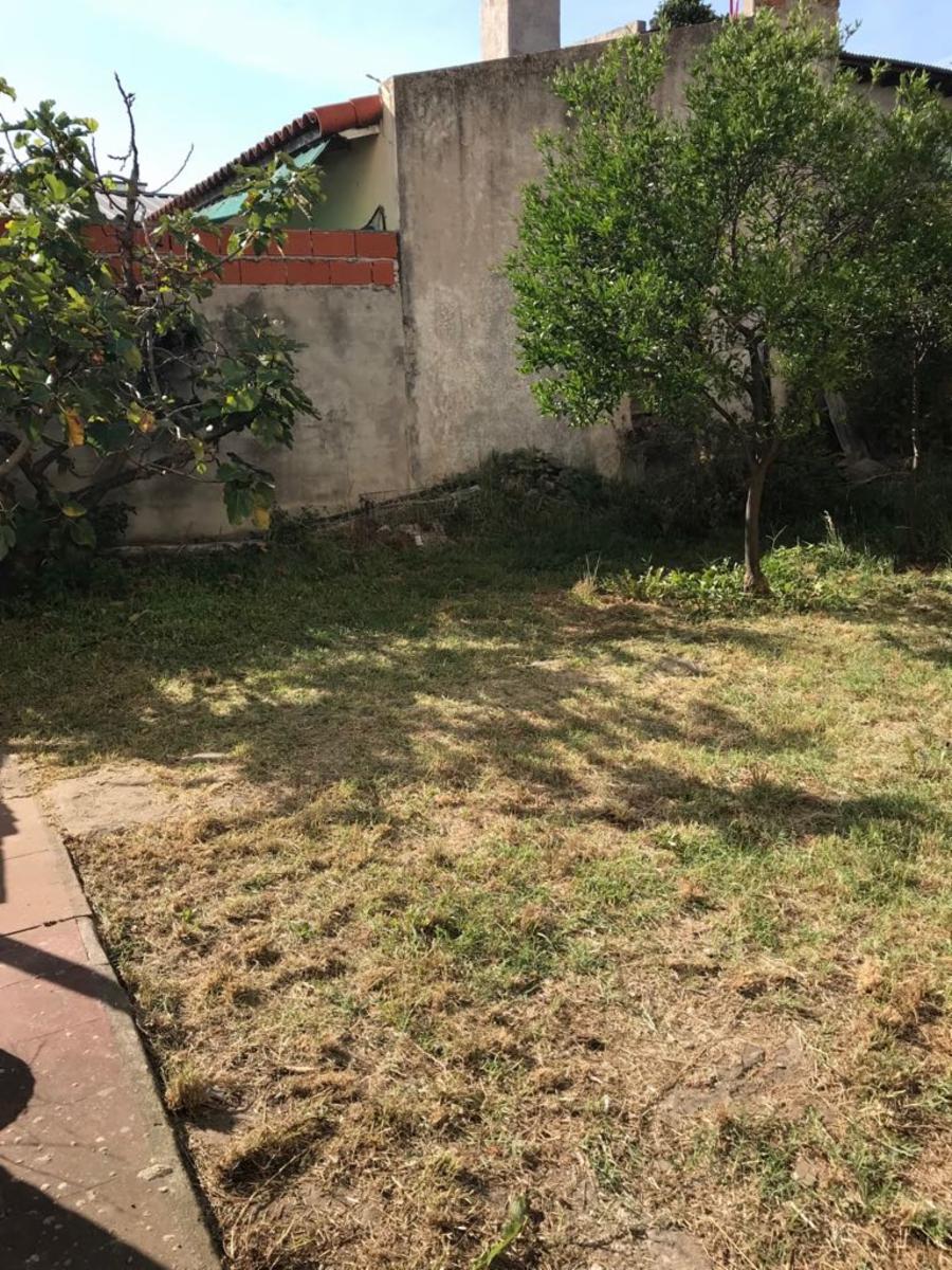 MERLO 530 · Moreno — foto 30