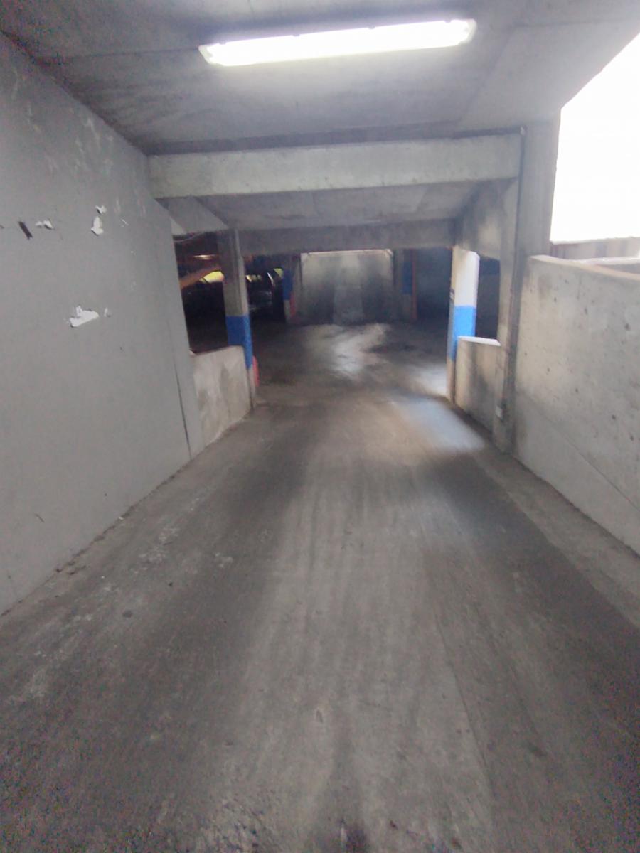 MARIO BRAVO 867 · Palermo — foto 6