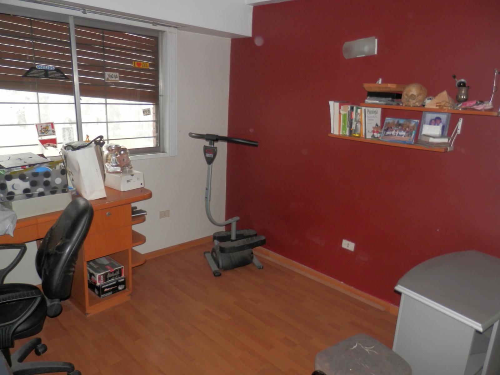 Candelaria 100 · Floresta — foto 24