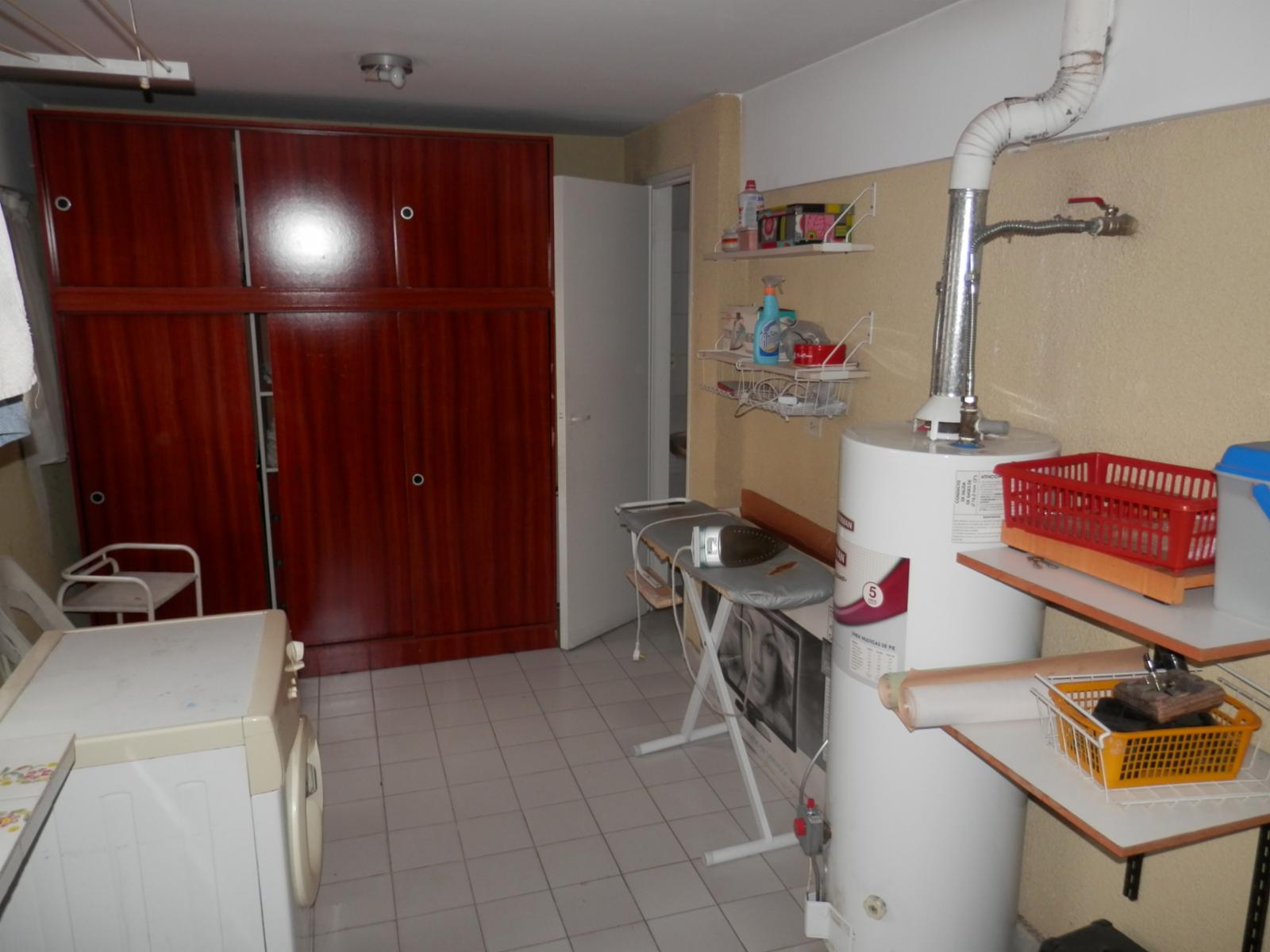 Candelaria 100 · Floresta — foto 35
