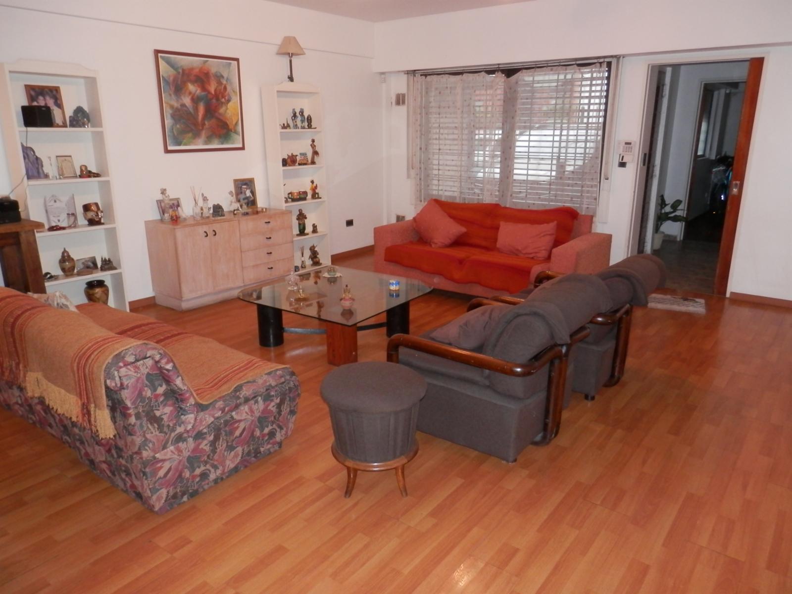 Candelaria 100 · Floresta — foto 6