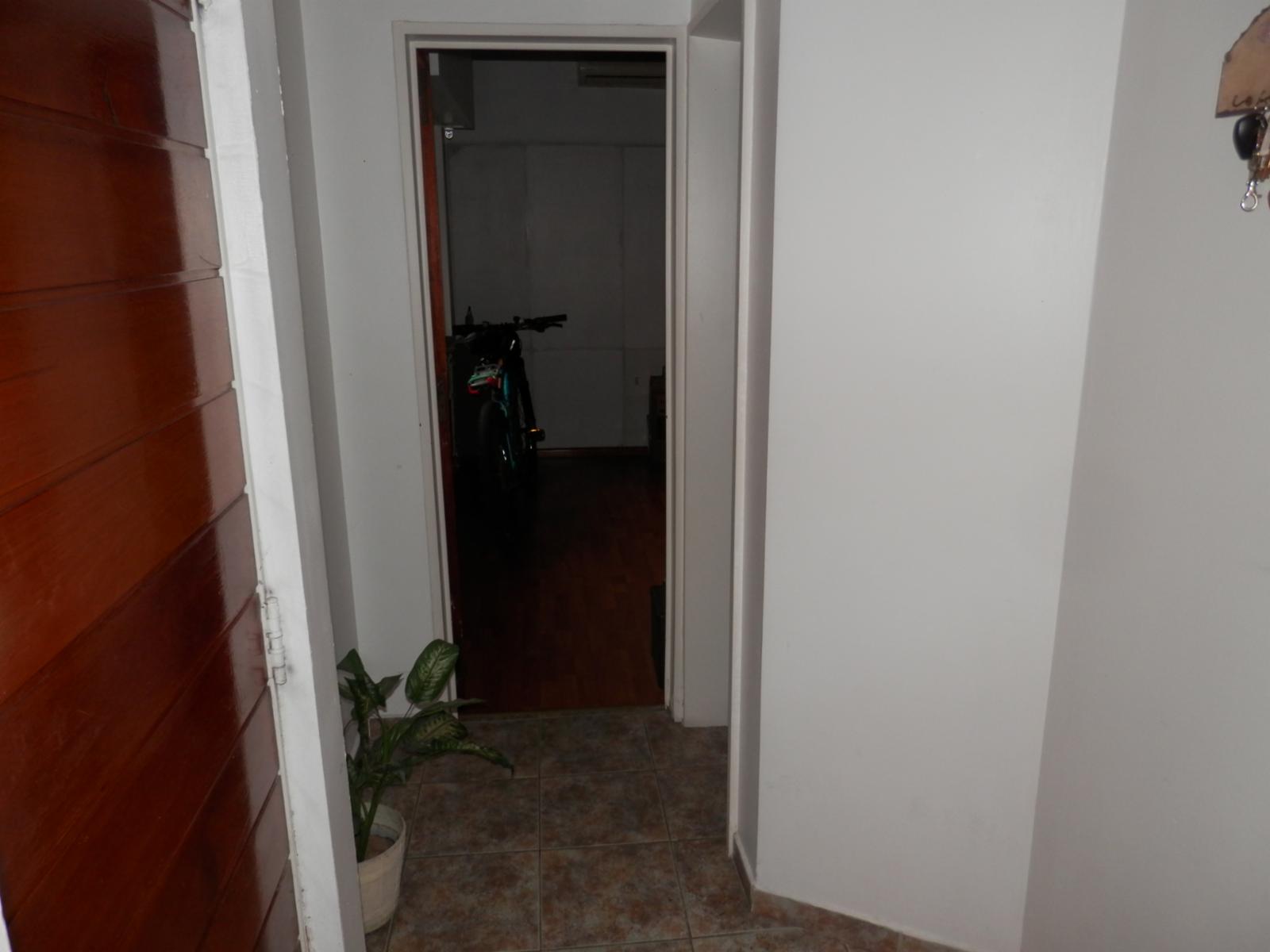 Candelaria 100 · Floresta — foto 8