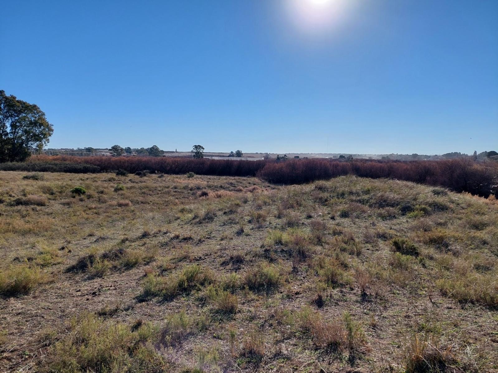 Rodriguez y Brigadier Estanislao Lopez · Bahia Blanca — foto 4