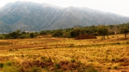 Autopista 25 de Mayo 1500 · La Capital — foto 20
