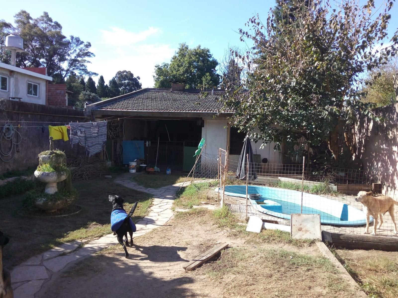 CUZCO · Hurlingham — foto 14