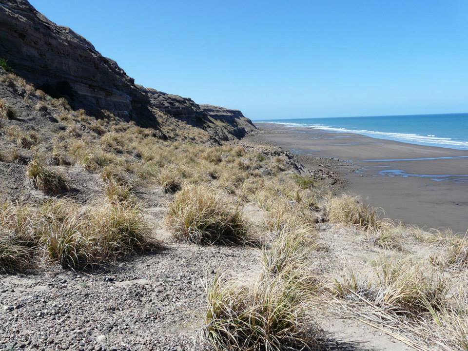 RUTA N°1 · Adolfo Alsina — foto 15