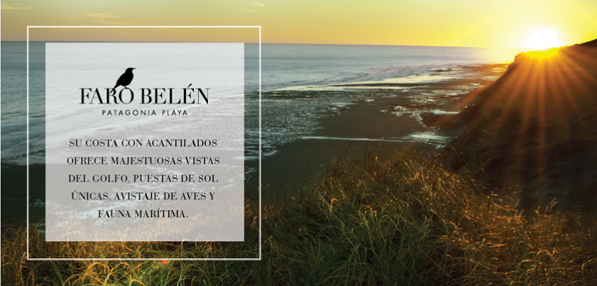 RUTA N°1 · Adolfo Alsina — foto 17