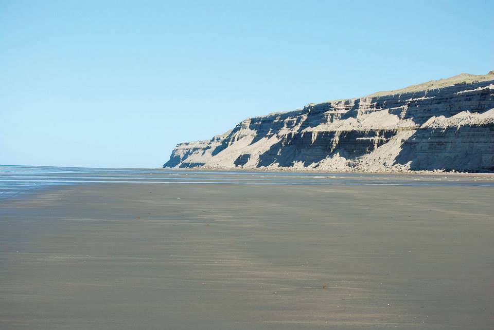 RUTA N°1 · Adolfo Alsina — foto 24