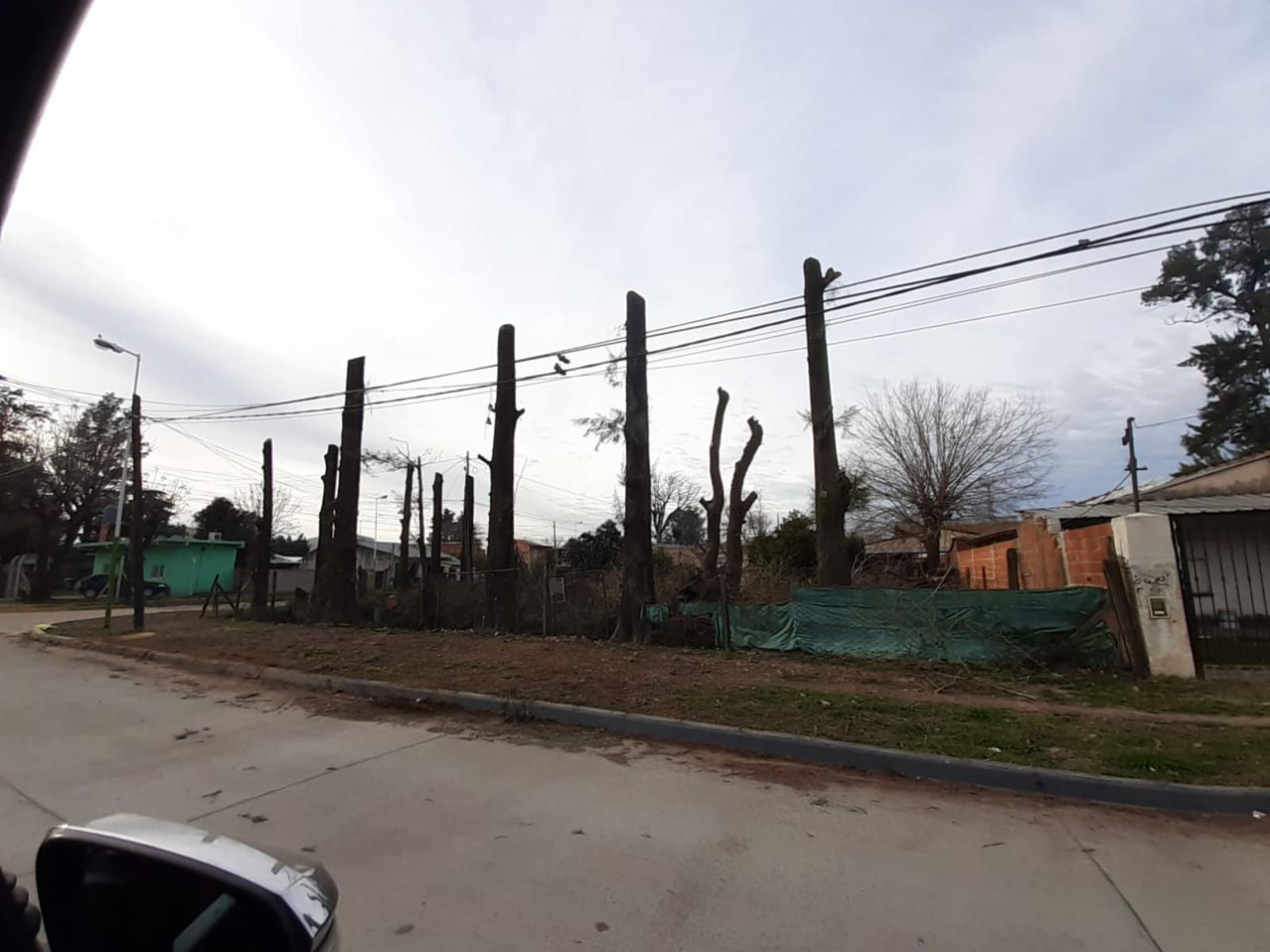 colombres · Malvinas Argentinas — foto 5